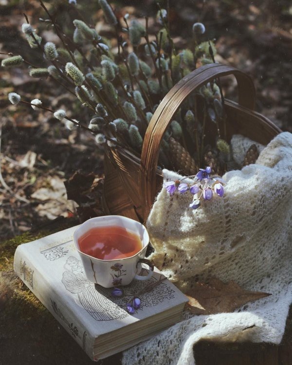 вербный натюрморт