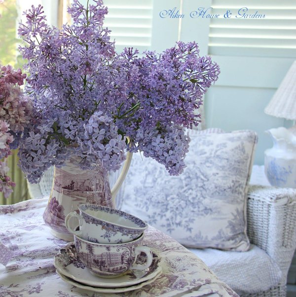 лаванда и сирень