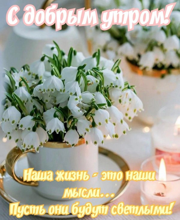 нежные подснежники