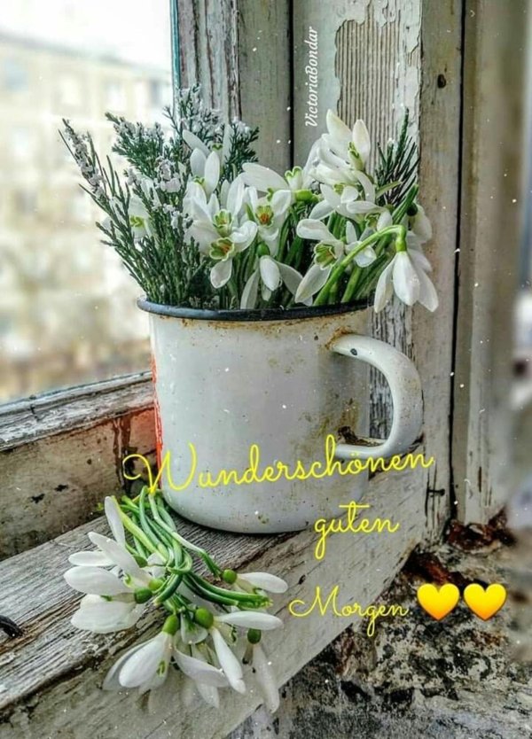 терра фьорри подснежники