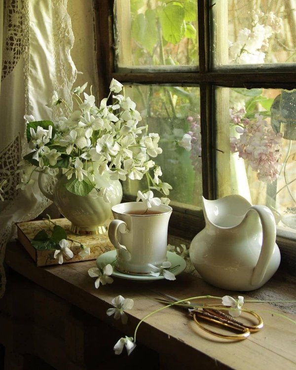 ковалева светлана фотонатюрморты