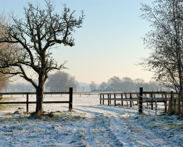 зимние пейзаж