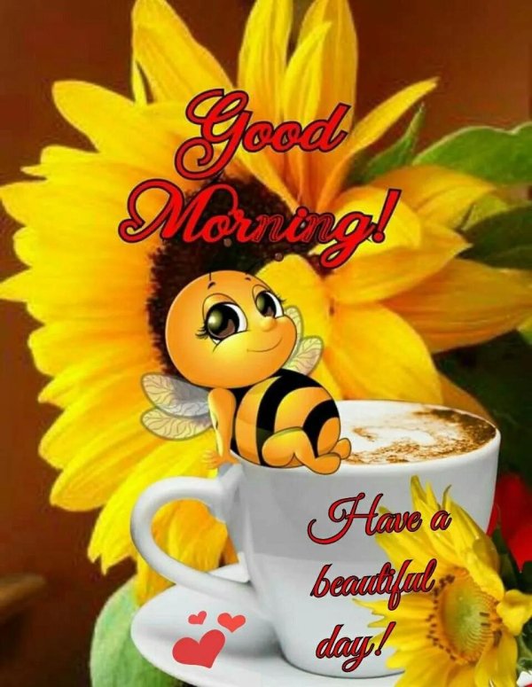 доброе утро пчелы