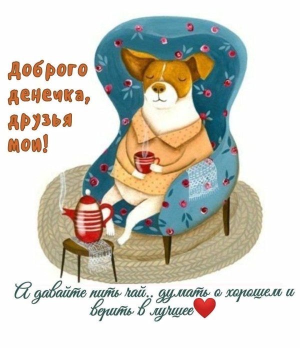 доброе утро с позитивом и юмором