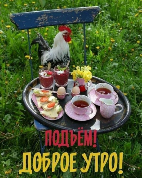 деревенский завтрак