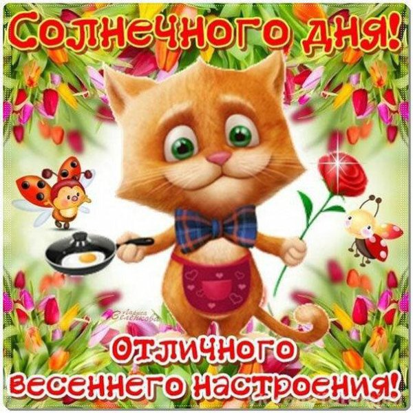 доброго дня и хорошего настроения прикольные