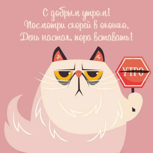 прикольный стикер