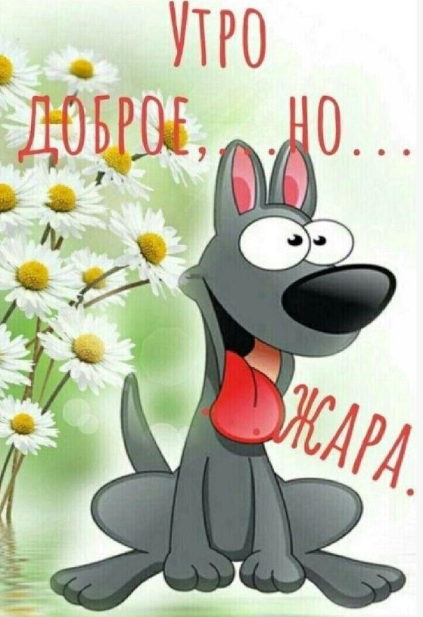 мультяшные собаки