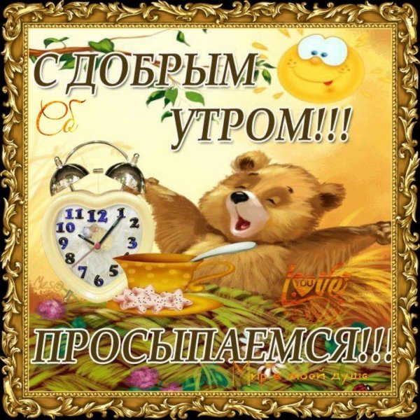 пожелание доброго утра прикольные