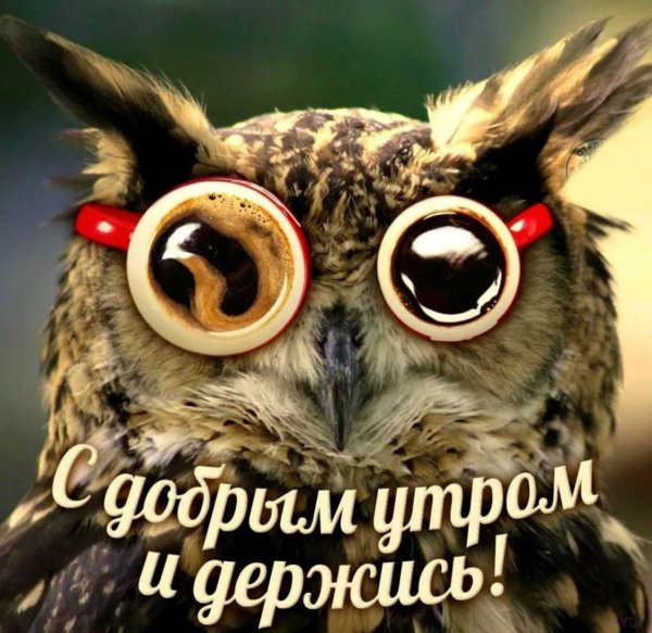 доброе утро держись