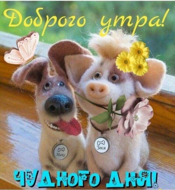 прикольная открытка с добрым утром