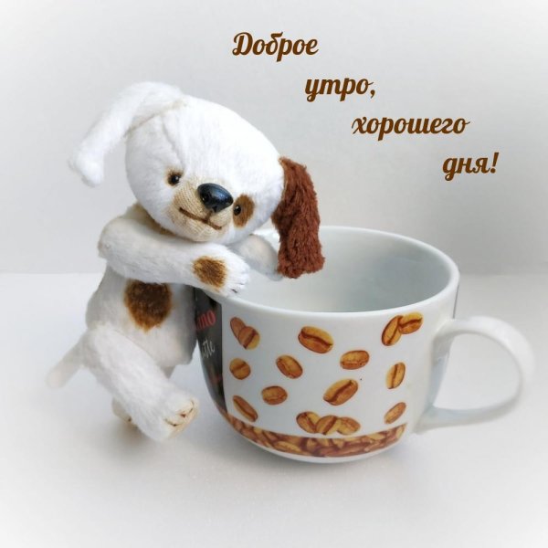доброе утро и хорошего дня новые