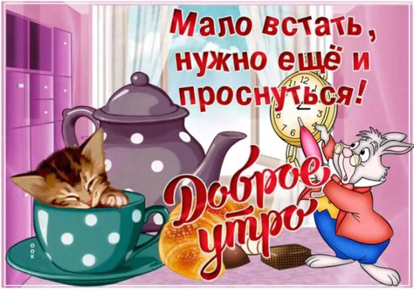 доброго утра прикольные открытки