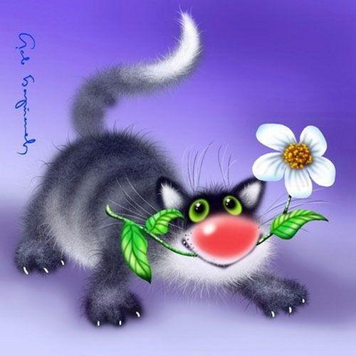 забавные открытки