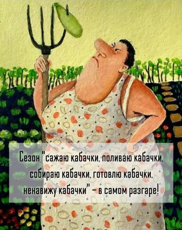 шутки про огород