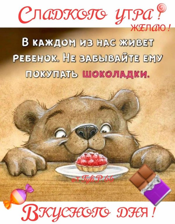 милый мишка