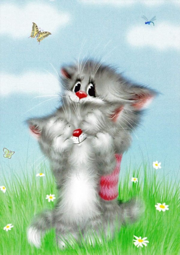 котики алексея долотова