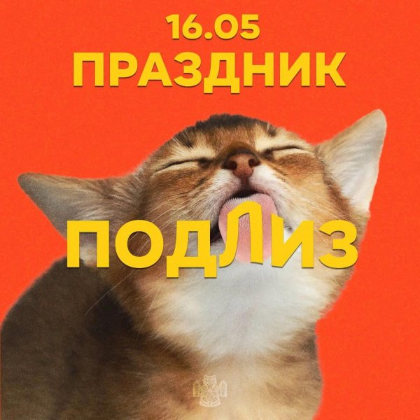 праздник подлиз