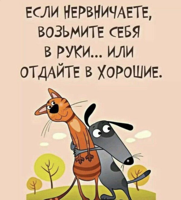 если нервничаете возьмите себя в руки или отдайте