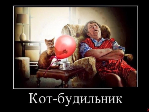 демотиваторы с добрым утром