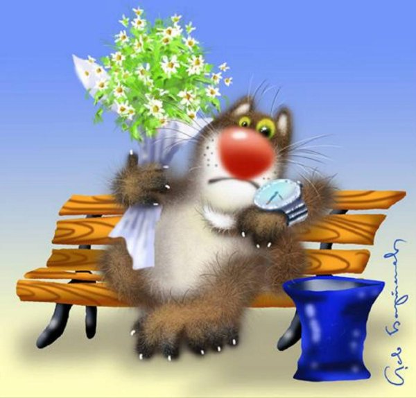 котики алексея долотова