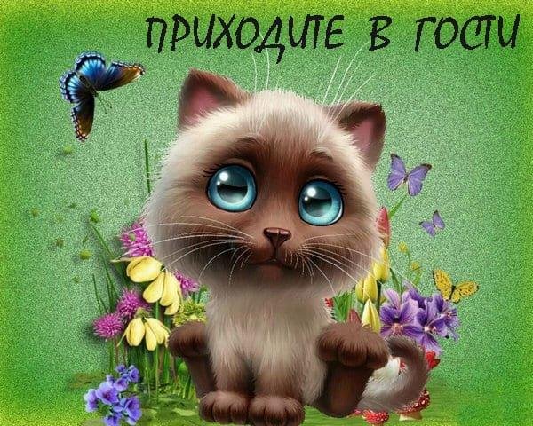 котики мультяшные милые