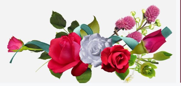 цветы без фона