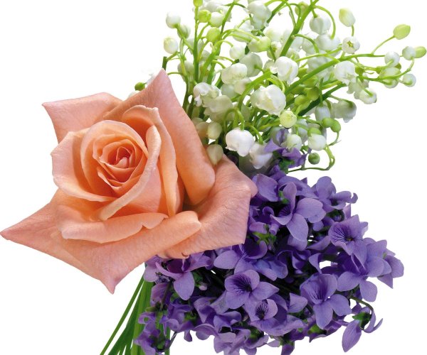 букет на прозрачном фоне