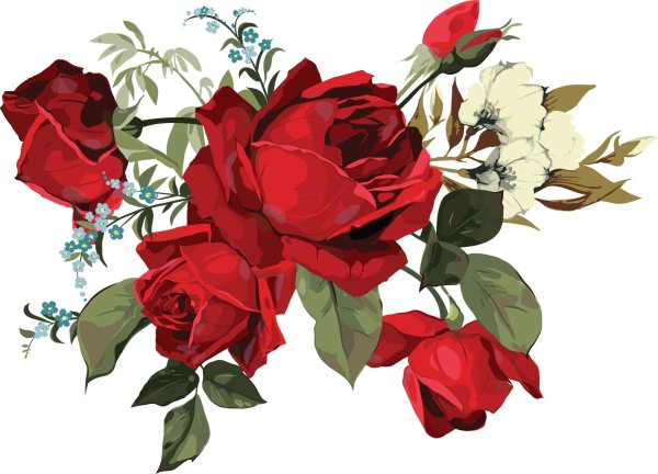 роза клипарт