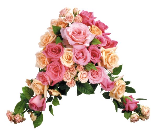 букет на прозрачном фоне