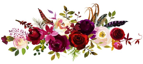 бордовые цветы