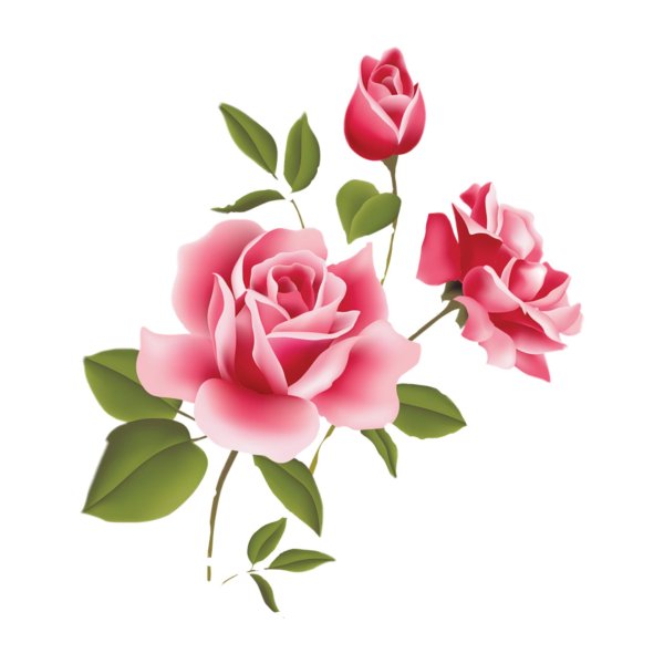 С цветами без фона