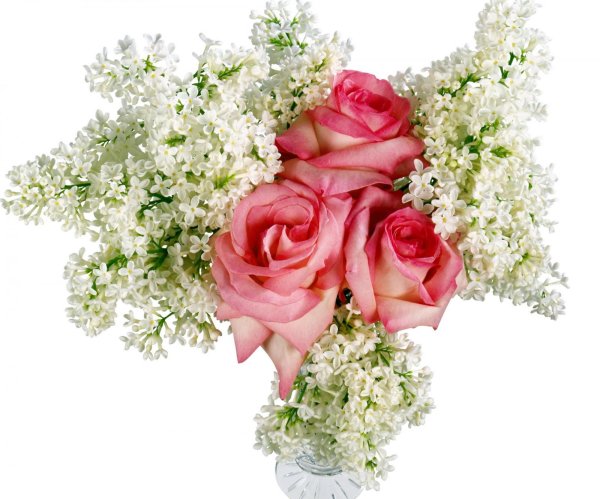 букет цветов прозрачный фон