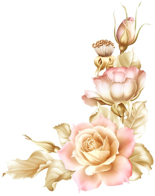 цветы barnali bagchi