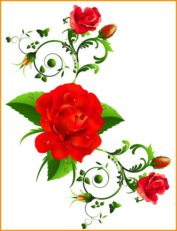 цветы уголок