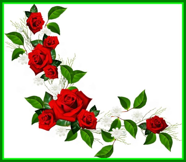 цветочная рамка