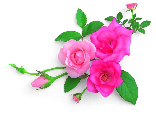 цветочки для вставки