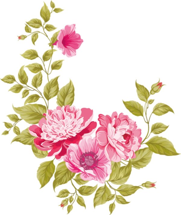 векторные цветы