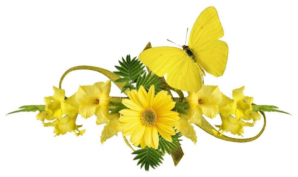 жёлтая бабочка