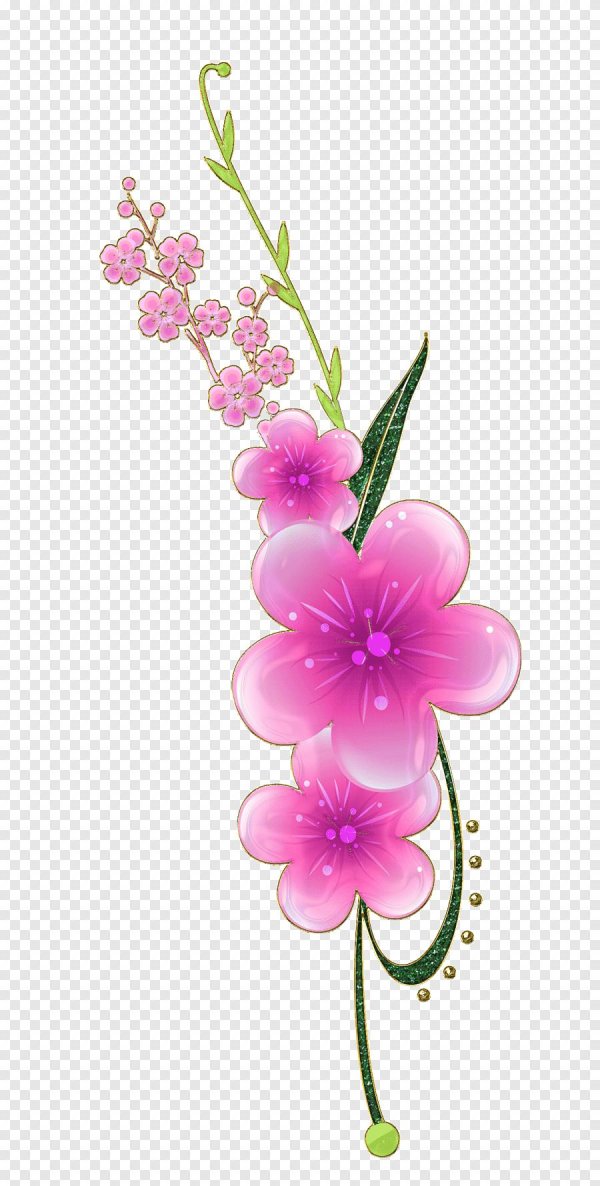 цветок прозрачный фон