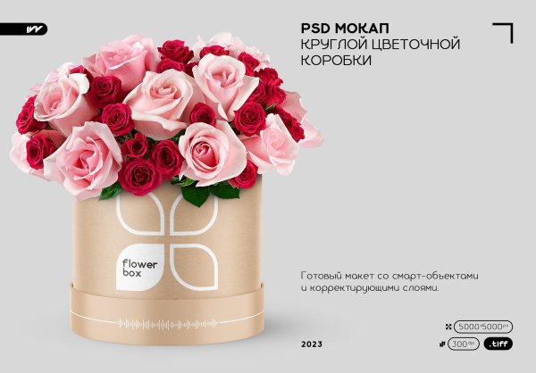 шляпная коробка