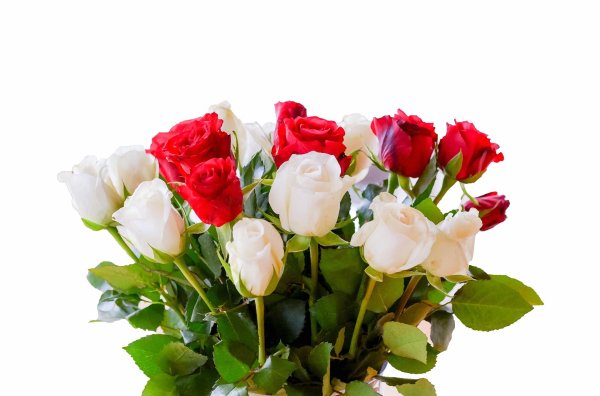 розы красивые букеты