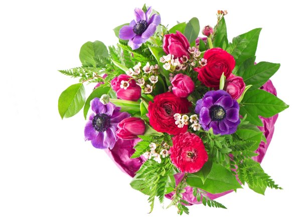 букет цветов без фона