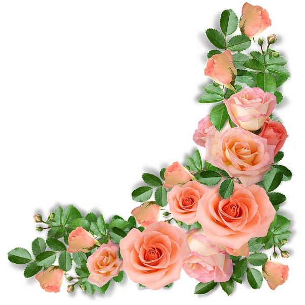 цветочные уголки