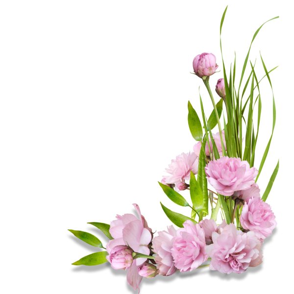 цветочные уголки