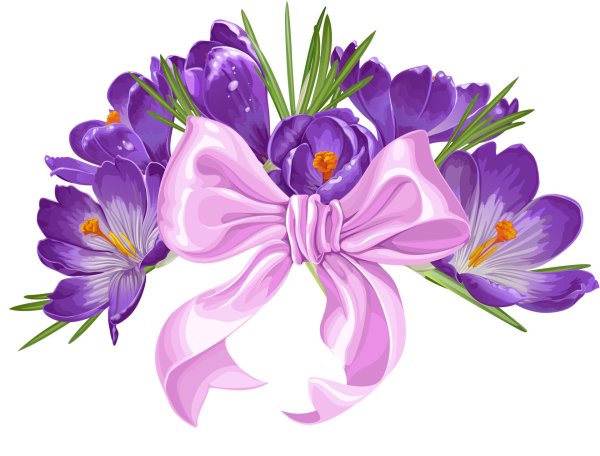 цветок крокус