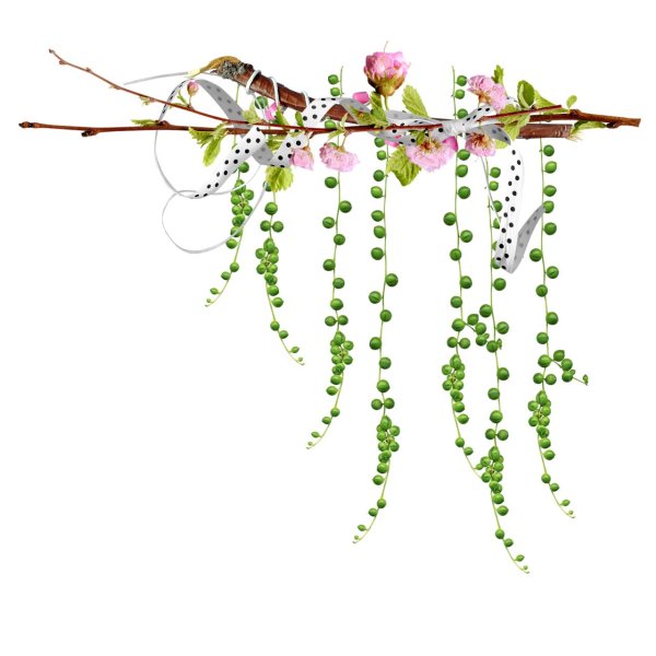 веточка цветов