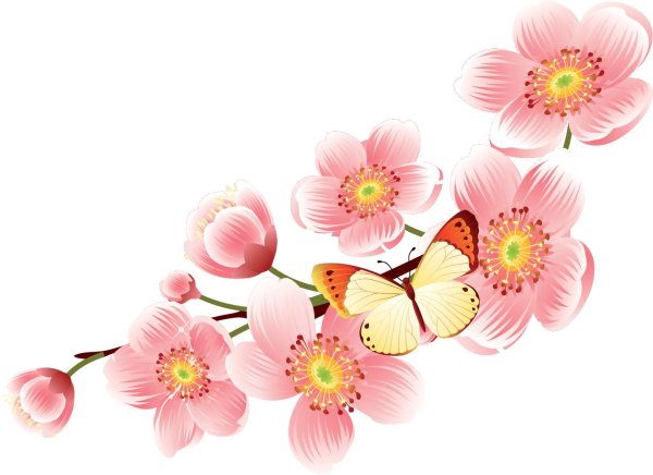 прозрачный фон цветы