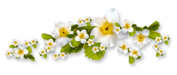 весенний клипарт на прозрачном фоне