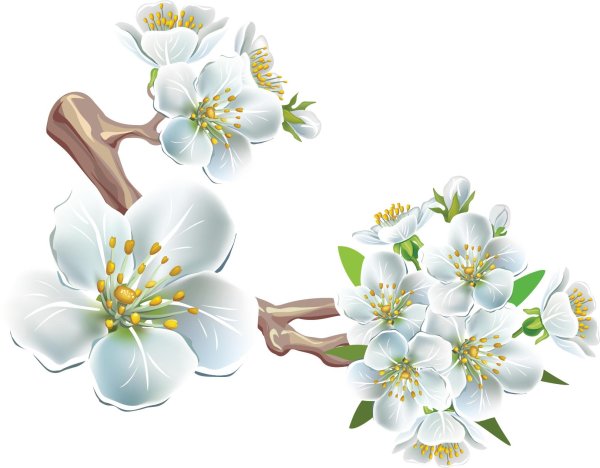 весенний клипарт